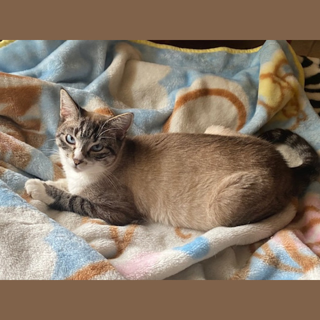 Photo of Missy