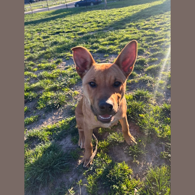 Photo of Lasso