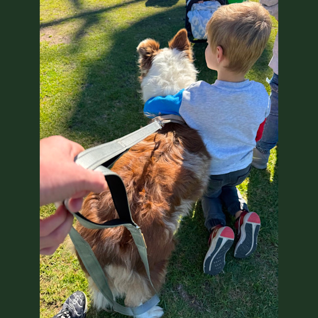 Photo of Chip