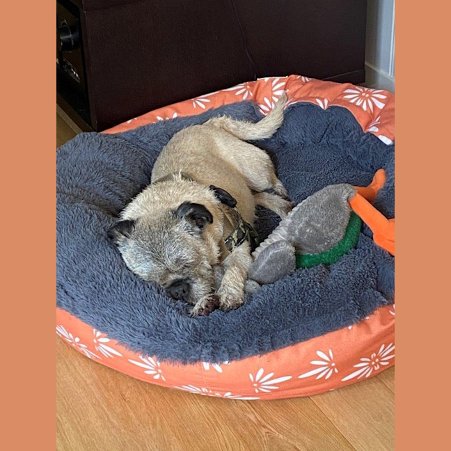 Photo of Molly Wensleydale