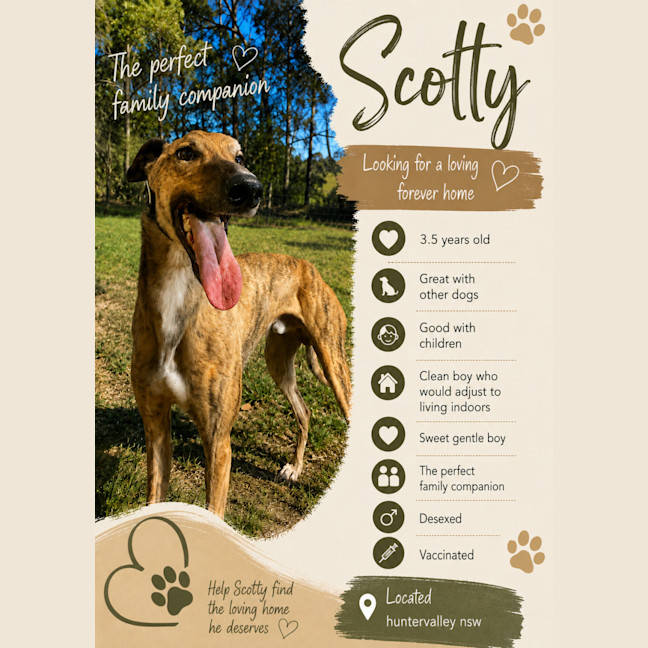 Photo of Scotty