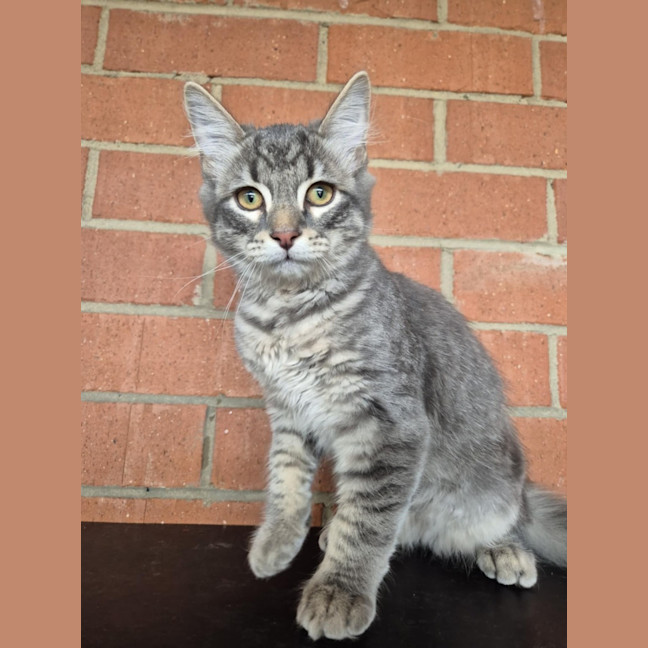 Photo of Winter! ❄️