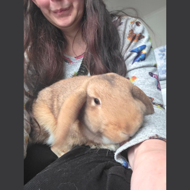 Photo of Raisin