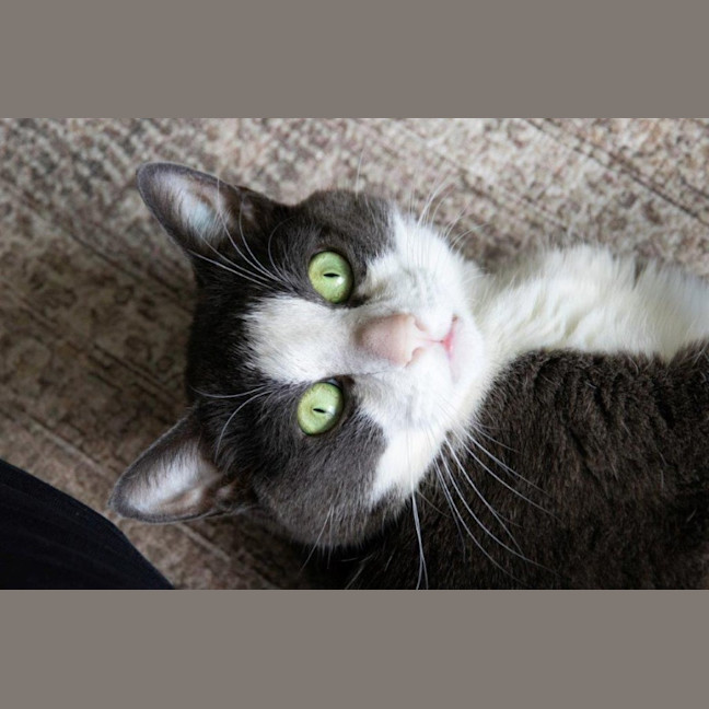 Photo of Billy Ebsworth