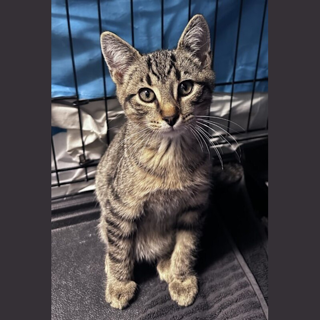 Photo of Bill