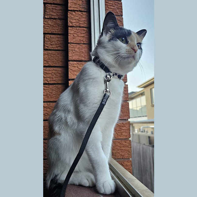 Photo of Mitzi
