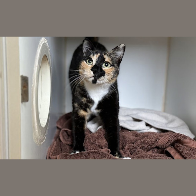 Photo of Hazel