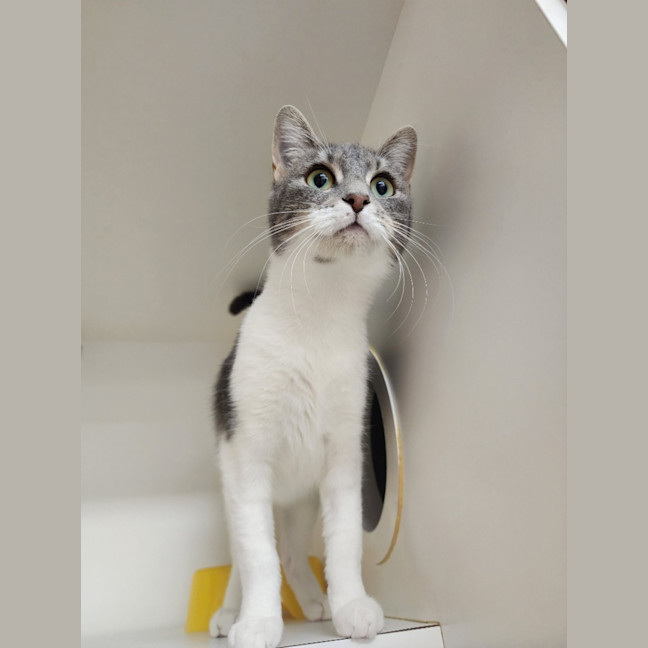 Photo of Avery Singer