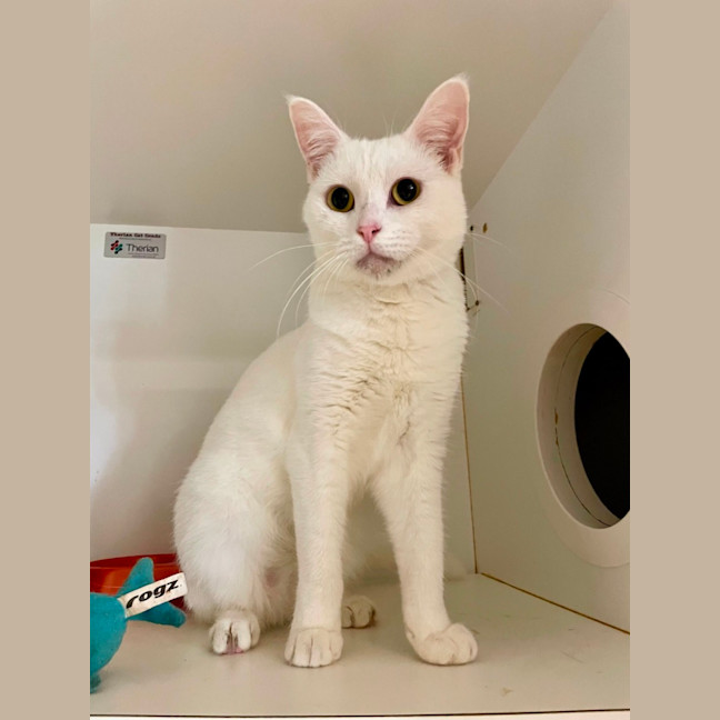 Photo of Hilda And Sunni