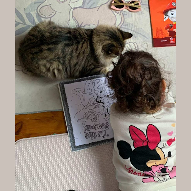 Photo of Nala Queen Of The Jungle