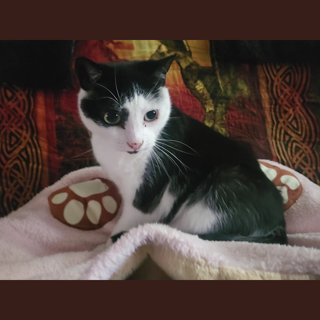 Photo of 💗 Amarina   Total Sweetheart 💗