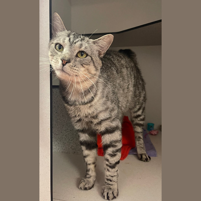 Photo of Sparky