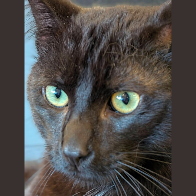 Photo of Xander