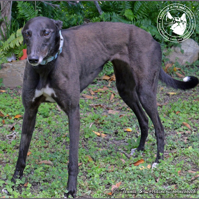 Photo of Conno (Kevin's Girl)