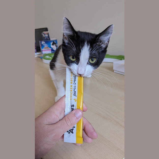 Photo of Oreo & Elisha 