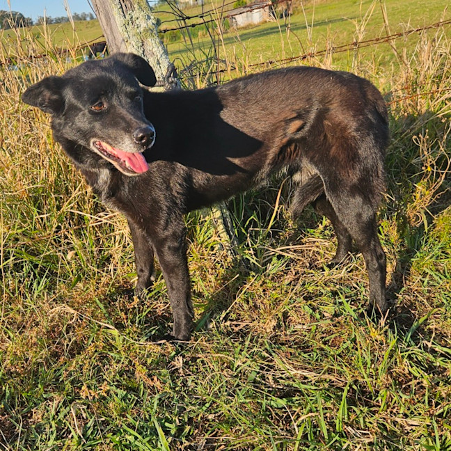 Photo of Zoe