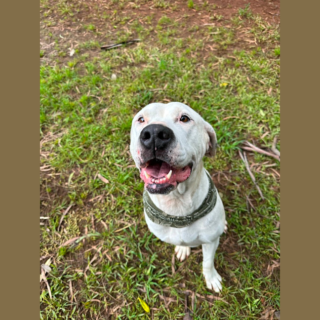 Photo of Harley