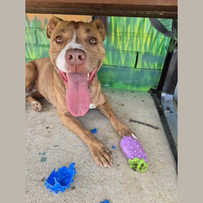 Photo of Skylar! 🌈