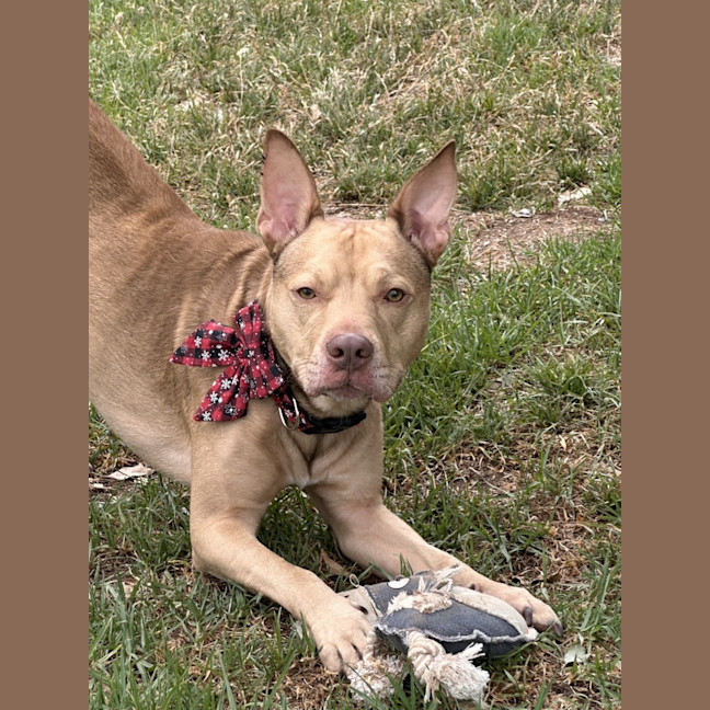 Photo of Woody