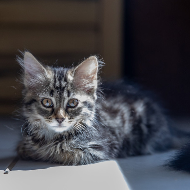 Photo of Zoey Moonlight