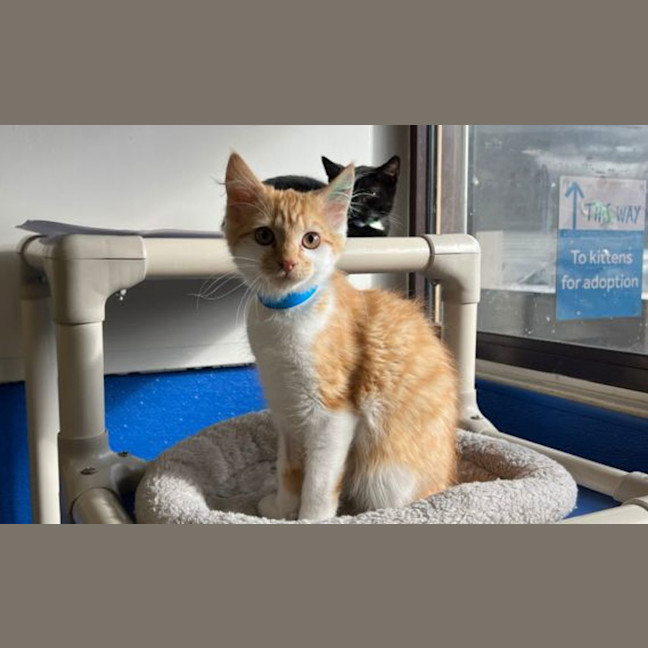 Photo of Finnegan
