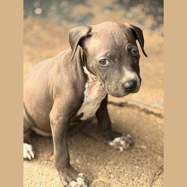 Photo of Malani