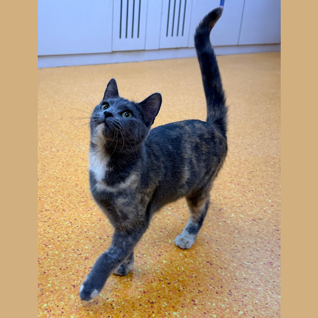 Photo of Maybelle