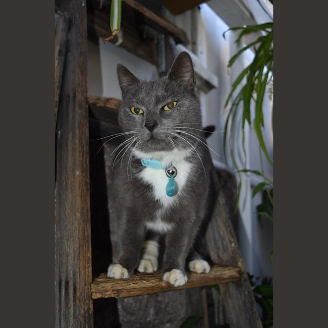 Photo of Sylvie
