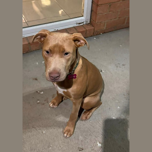 Photo of Buster