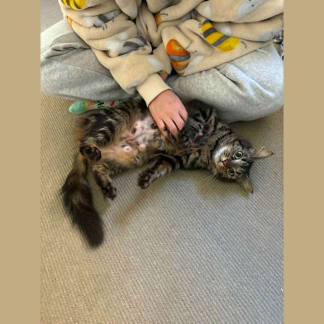 Photo of Charlie