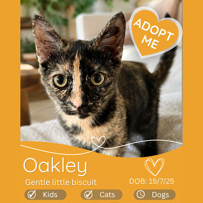Photo of Oakley