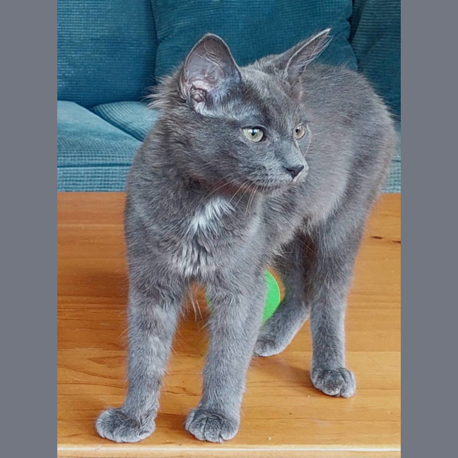 Photo of Dolly Purrton