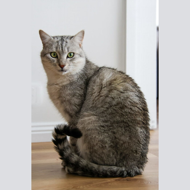 Photo of Boden