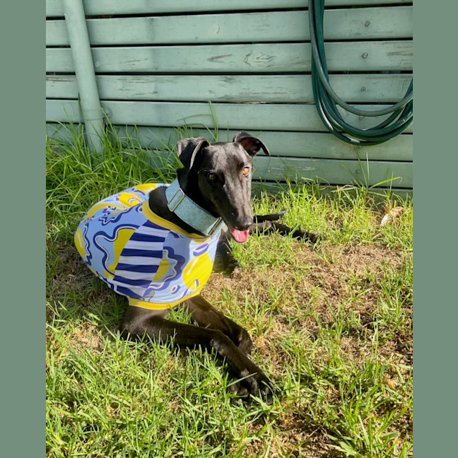 Photo of Izzie