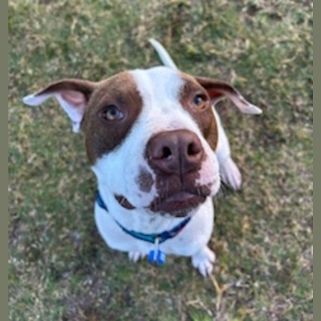 Photo of Duke
