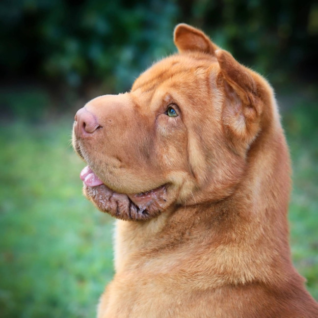 Photo of Symba