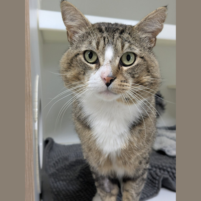 Photo of 😽 Jerome 6752 😽