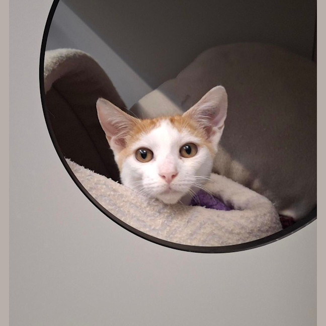 Photo of Kammy