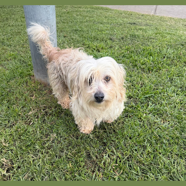 Photo of Jack
