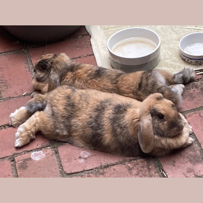 Photo of Patty & Selma