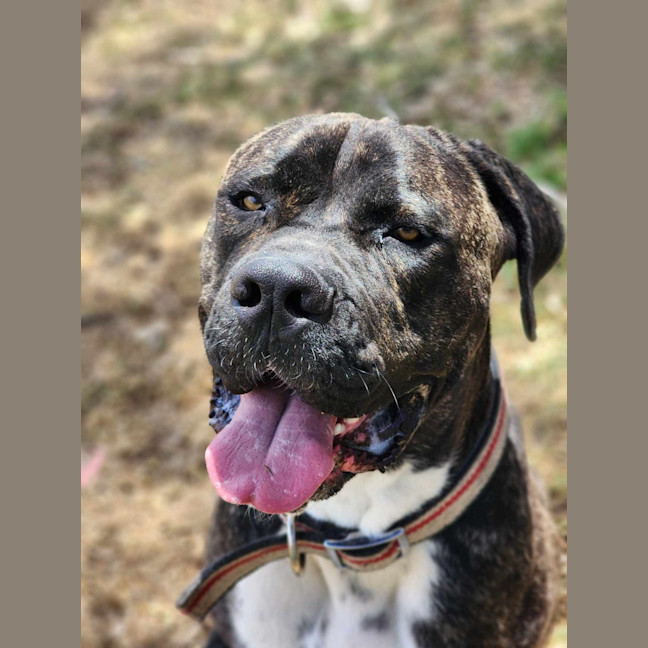 Photo of 🥛 Eggnog 5520 🥛