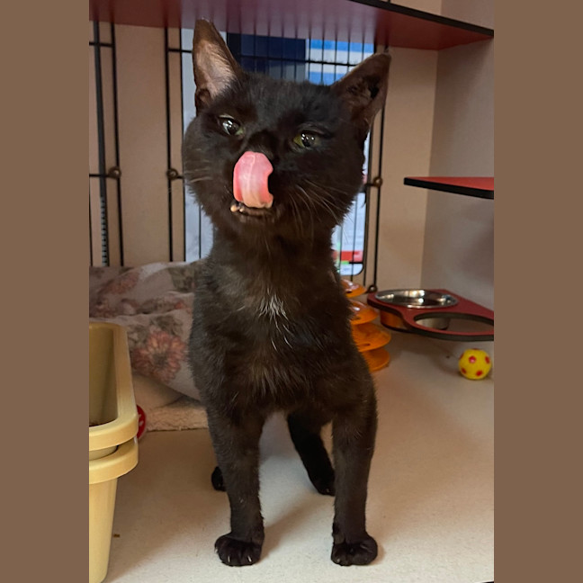 Photo of Bernard 