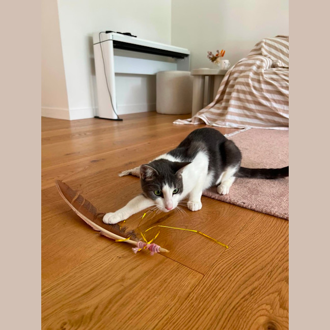 Photo of Maisey
