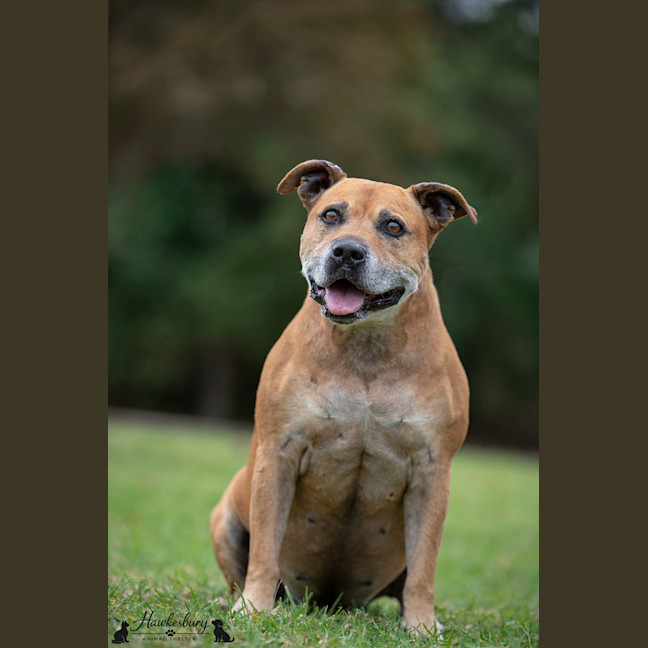 Photo of Bruce
