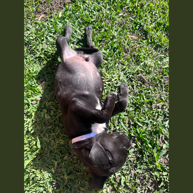 Photo of Ted