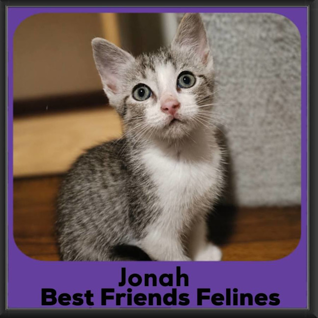 Photo of Jonah