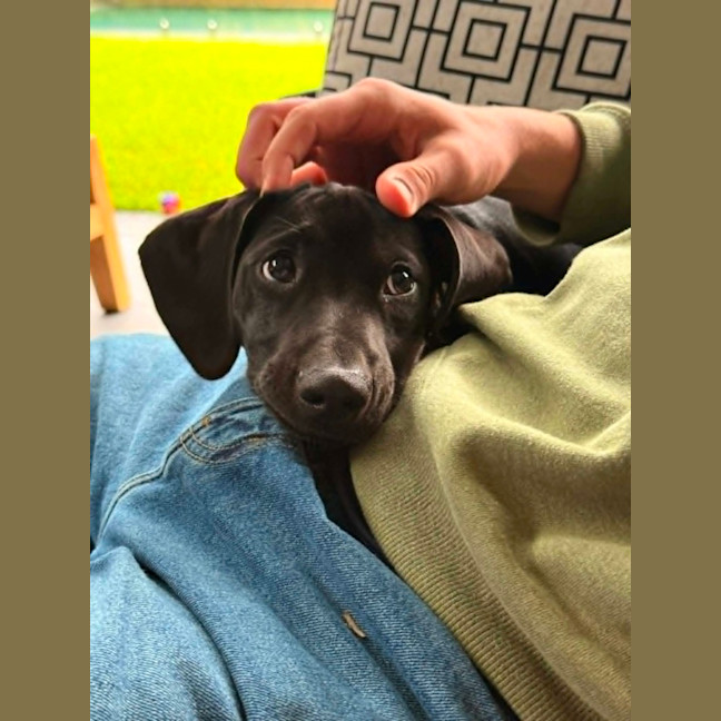 Photo of Maverick 
