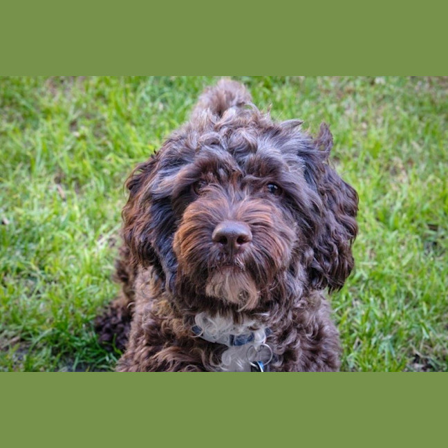 Photo of Bertie Kumara