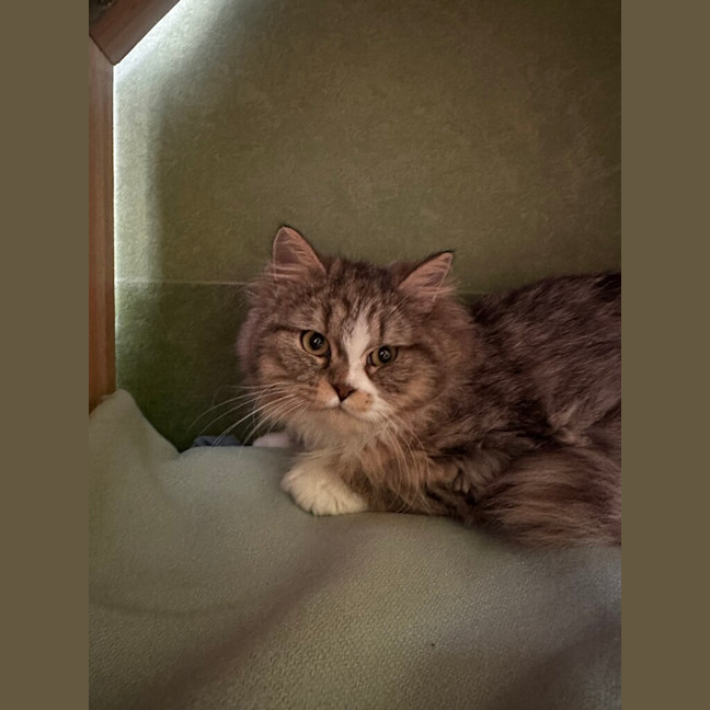 Photo of Myrtle