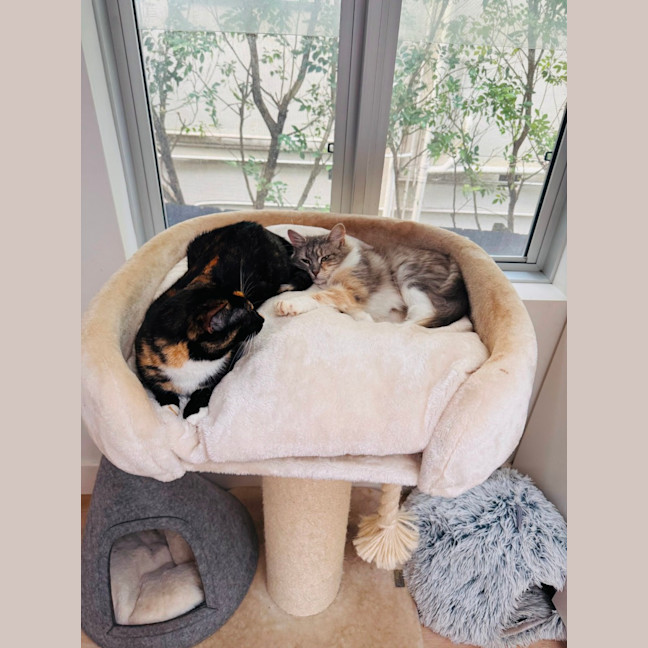 Photo of Lucy